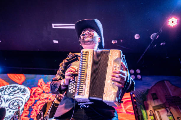 musician man playing accordion in a music concert - concert stock pictures, royalty-free photos & images