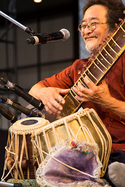 musician performing indian music - concert stock pictures, royalty-free photos & images