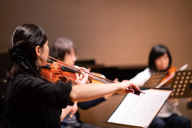 musician playing violin at classical concert - concert stock pictures, royalty-free photos & images