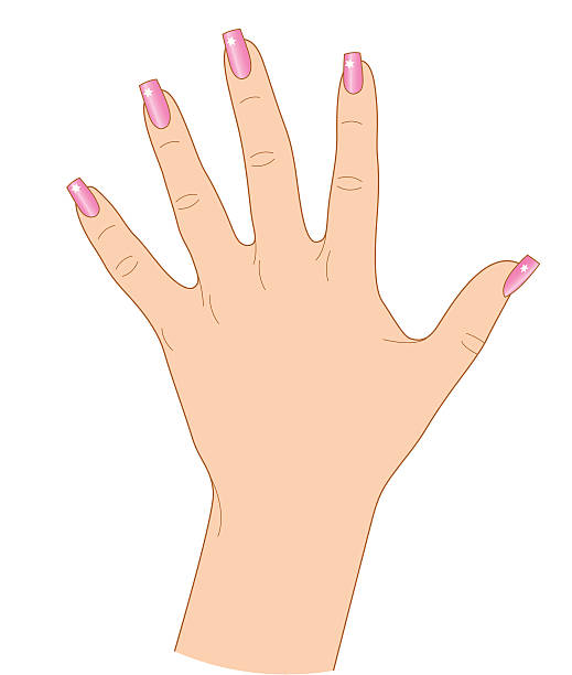 nail art - nails art stock illustrations