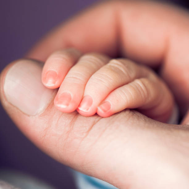 newborn baby's hand - nails art stock pictures, royalty-free photos & images