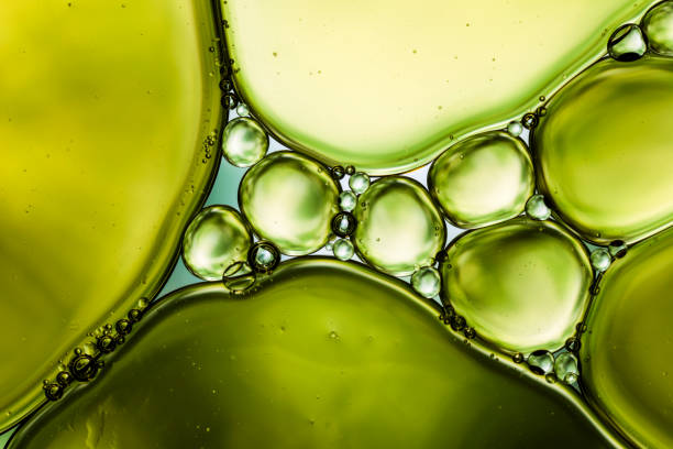 oil & water - abstract background green macro - food stock pictures, royalty-free photos & images