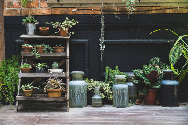 old pottery in garden,gardening decoration element,green plant on pottery in houseplant - garden decoration stock pictures, royalty-free photos & images
