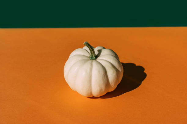 one white pumpkin front view, green and orange colors. halloween and thanksgiving day concept. - home decoration stock pictures, royalty-free photos & images