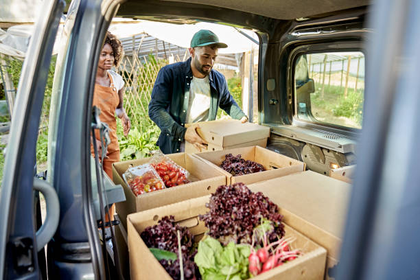 organic farmers loading van with boxes of produce - food stock pictures, royalty-free photos & images