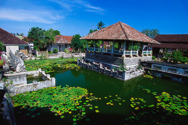 ornamental lake, raja of karangasem palace, amlapura, bali, indonesia - garden decoration stockfoto's en -beelden