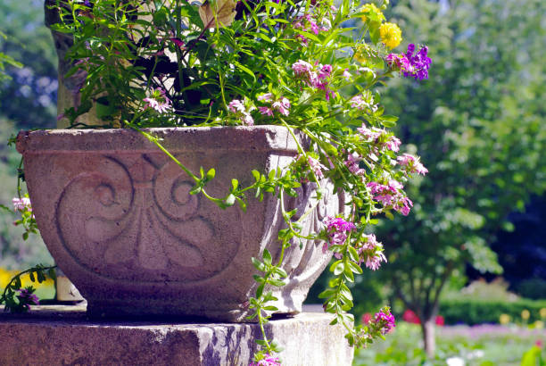 ornate planter with wildflowers in a formal garden - garden decoration stock pictures, royalty-free photos & images
