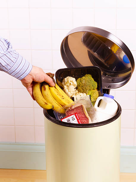 out of date food in garbage bin. - food stock pictures, royalty-free photos & images