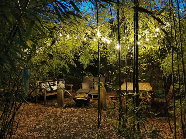 outdoor garden lounge under bamboo at night with a light garland - garden decoration stock pictures, royalty-free photos & images