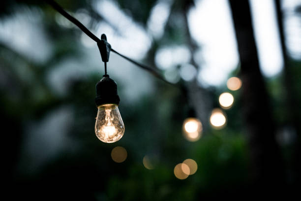 outdoor string lights hanging on a line in backyard - garden decoration stock pictures, royalty-free photos & images