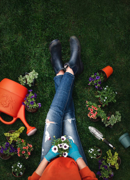overhead of woman on grass surrounded by plants and gardening tools. - garden decoration photos et images de collection
