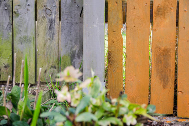 painted fence - garden decoration stock pictures, royalty-free photos & images