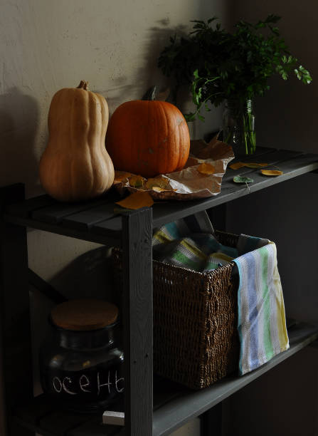 part of home interior in rustic style with wooden shelving side view with still life with large orange pumpkins, garden herbs and autumn leaves on a light texture wall background close up - garden decoration stock-fotos und b