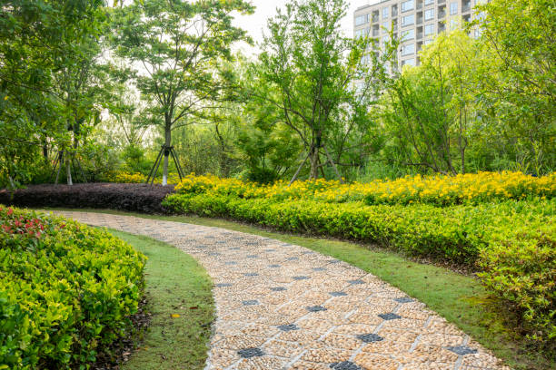 path full of daisies in the garden - garden decoration stock pictures, royalty-free photos & images