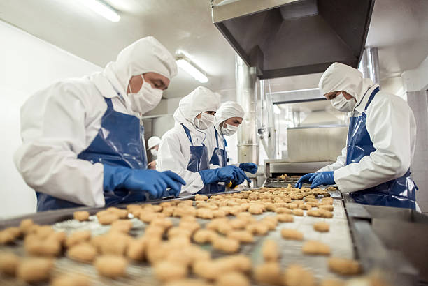 people working at a food factory - food stock pictures, royalty-free photos & images