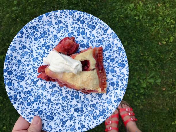 personal perspective of a woman holding a plate of homemade strawberry rhubarb pie - garden decoration stock pictures, royalty-free photos & images