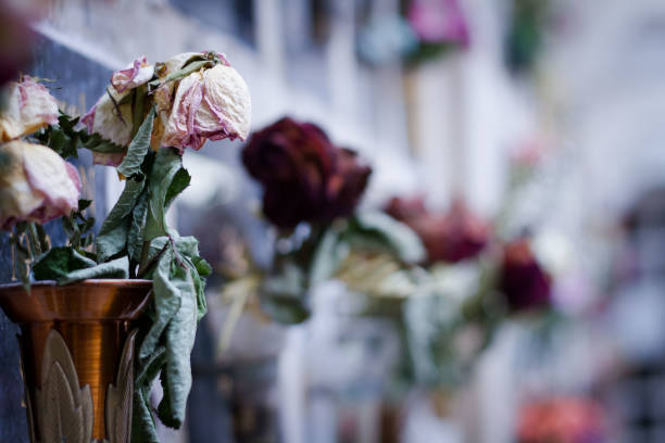 photo by: claudia wanner - garden decoration stock pictures, royalty-free photos & images