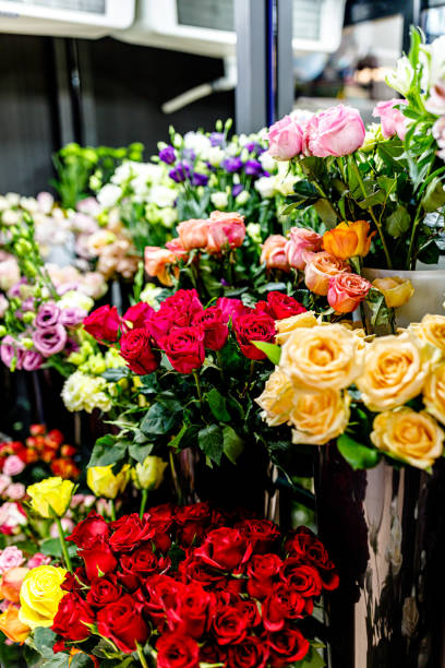 photo of roses in modern flower store. - garden decoration stock pictures, royalty-free photos & images