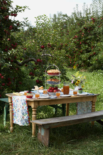 picnic table in apple orchard - home decoration stock pictures, royalty-free photos & images