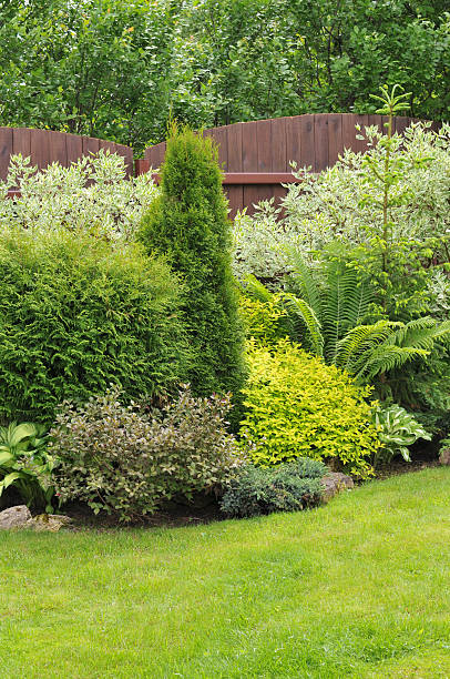 picture of a well maintained garden - garden decoration stock pictures, royalty-free photos & images