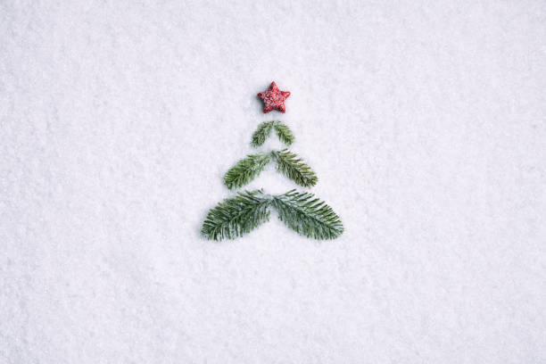 pine branche christmas tree - background nature snow white - home decoration stock pictures, royalty-free photos & images