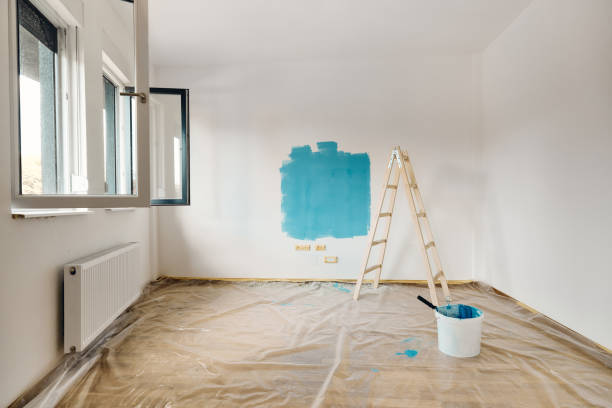 ¡pintando paredes en azul! - home decoration fotografías e imágenes de stock