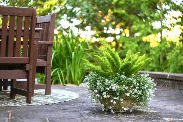 planter on a stone patio. - garden decoration stock pictures, royalty-free photos & images