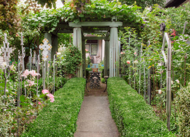 plants growing in garden - garden decoration stock pictures, royalty-free photos & images