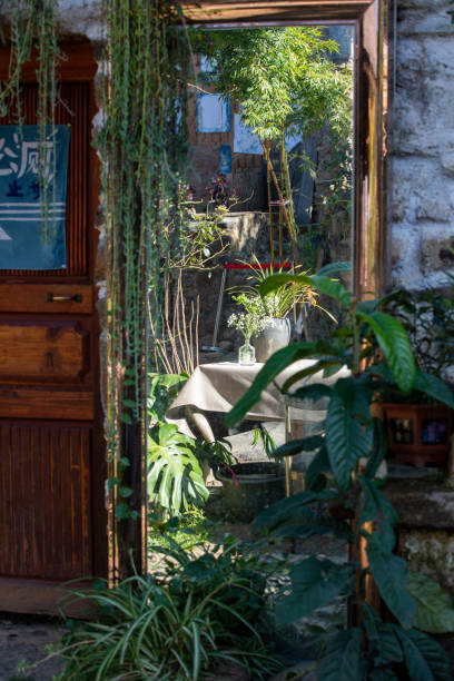 plants of yard in mirror - garden decoration stock pictures, royalty-free photos & images