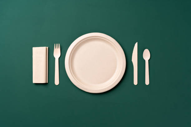 plastic free disposable paper plate with wooden eating utensils table setting - junk food stock pictures, royalty-free photos & images