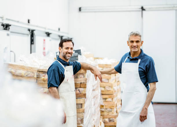 portrait of two happy butchers working at meat packaging warehouse - food stock pictures, royalty-free photos & images