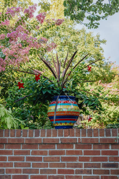 potted plant on top of garden wall - garden decoration stock pictures, royalty-free photos & images
