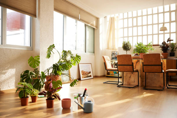 potted plants in domestic room - home decoration stock pictures, royalty-free photos & images