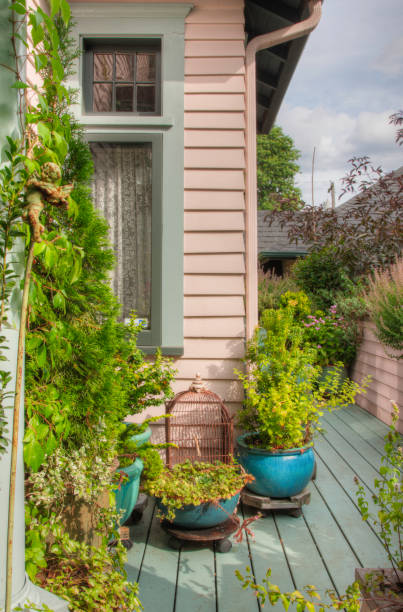 potted plants on patio - garden decoration stock pictures, royalty-free photos & images