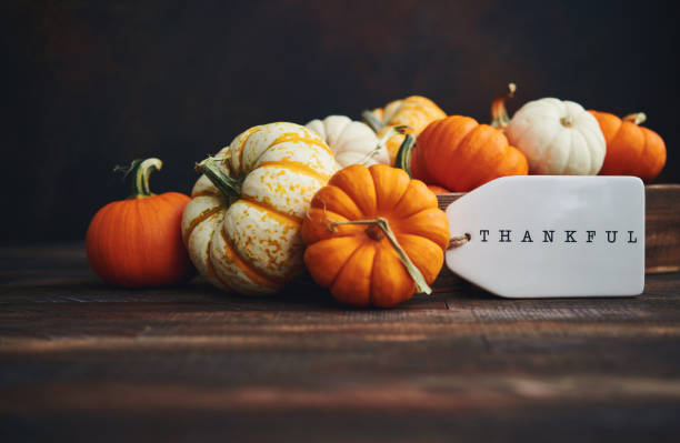 pumpkin collection with thankful message for thanksgiving. fall background - home decoration stock pictures, royalty-free photos & images