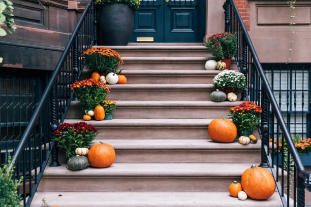 pumpkins and autumn flowers on the door steps, decorations for halloween - home decoration stock pictures, royalty-free photos & images