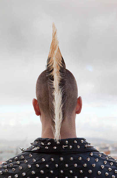 punk with long mohawk from behind - hairstyle stock pictures, royalty-free photos & images