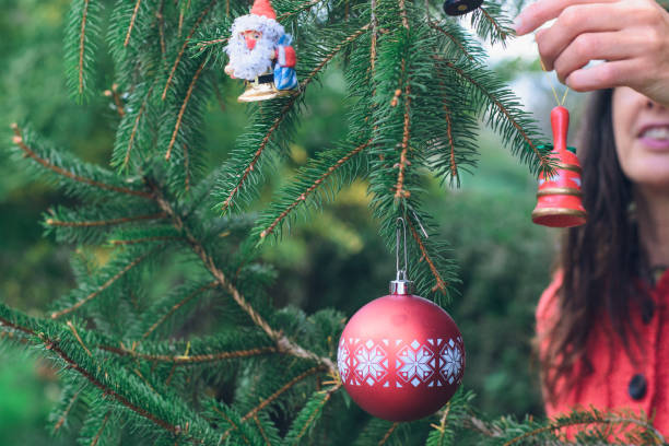 put the christmas tree - garden decoration stock pictures, royalty-free photos & images