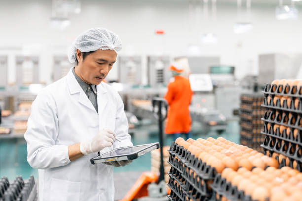 quality control technician with hygienic clean suit and ppe working in eggs production factory. - food stock pictures, royalty-free photos & images