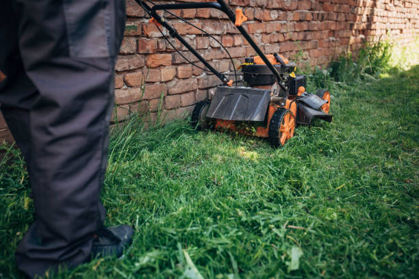 rasenmäher schneiden grünes gras im hinterhof, gartenservice. - garden decoration stock-fotos und bilder