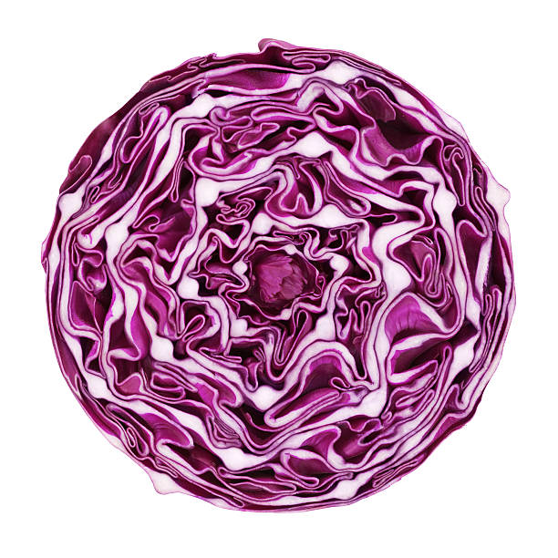 red cabbage portion on white - food stock pictures, royalty-free photos & images