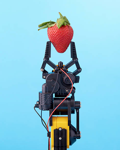 robotic claw holding strawberry - food fotografías e imágenes de stock