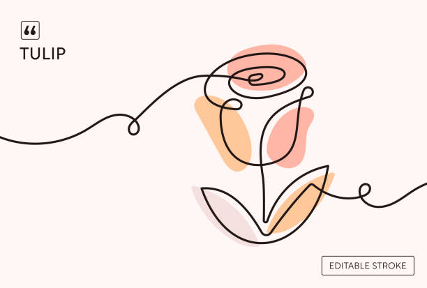 rose continuous line illustration - garden decoration stock illustrations