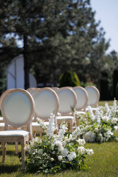 rows of the white wooden chairs at th wedding reception - garden decoration stockfoto's en -beelden