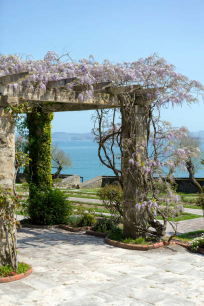 santander coastline, northern spain - garden decoration stock pictures, royalty-free photos & images