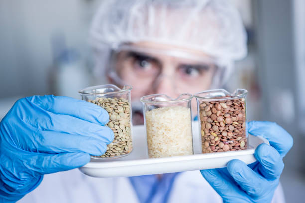 scientist in lab examining food samples - food stock pictures, royalty-free photos & images