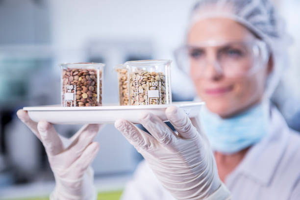 scientist in lab holding tray with seed samples - food stock pictures, royalty-free photos & images