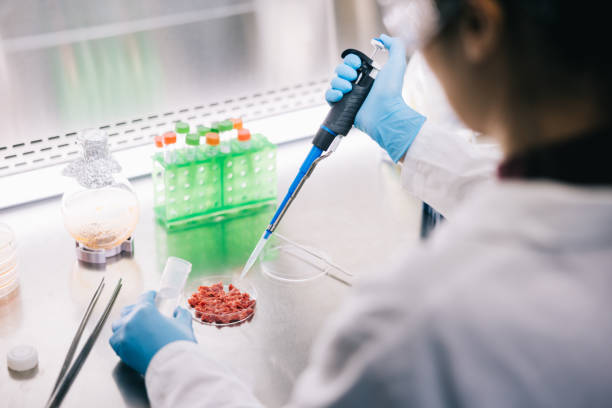 scientist working with pipette and cultured meat in laboratory - food stock pictures, royalty-free photos & images