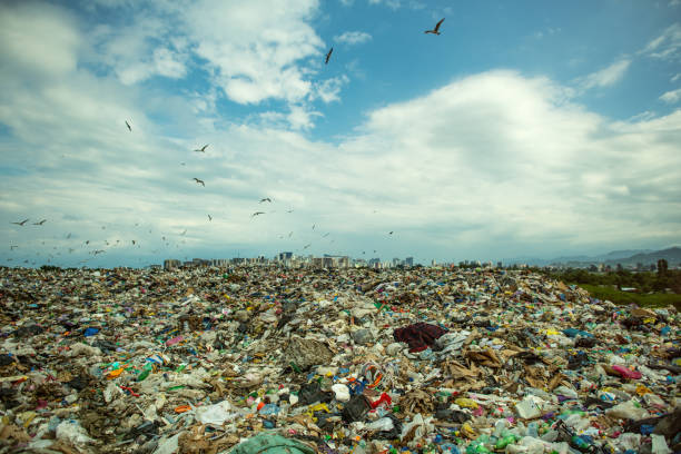 seagulls at a garbage dump with a city and mountains in background. environmental damage, air and water pollution and ecology crisis concept. - food stock pictures, royalty-free photos & images