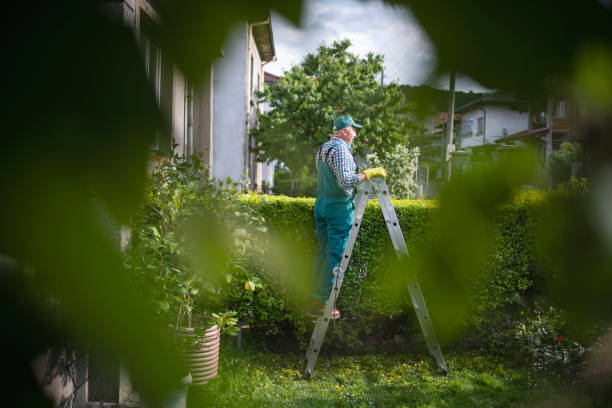 senior working in garden. - garden decoration stock pictures, royalty-free photos & images
